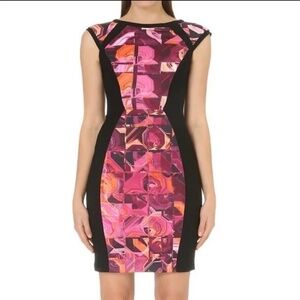 NWT TED BAKER LONDON Jasmaii Pink and Black Geometric Print Panel Dress Size 2